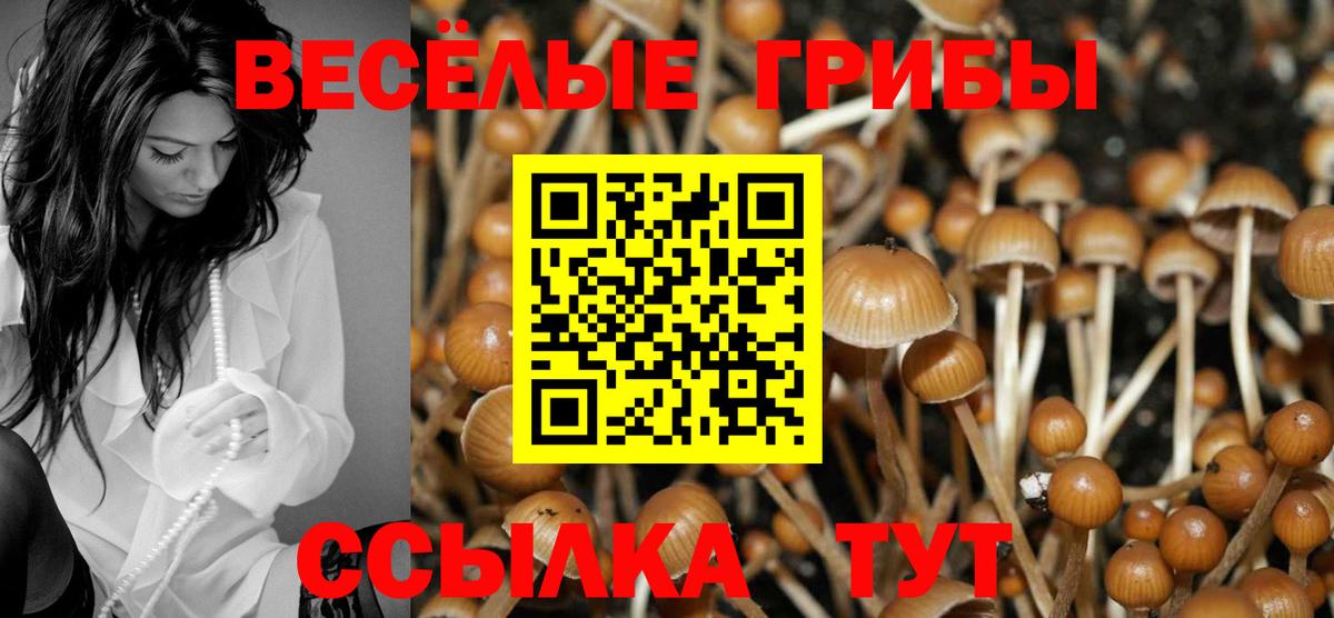 Новоалтайск  Псилоцибиновые грибы Magic Shrooms  Вход с VPN 